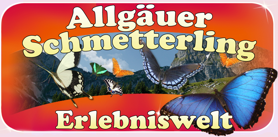Allgäuer Schmetterling Erlebniswelt